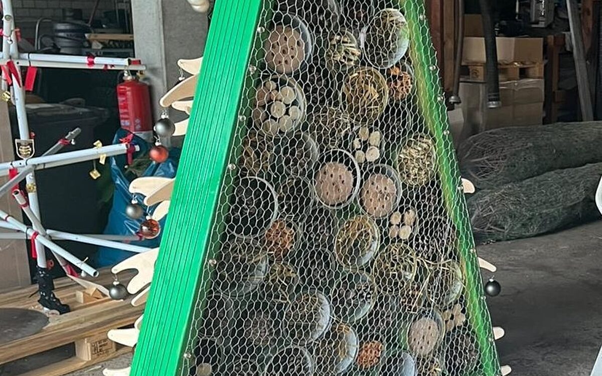 281122 Baum biologisch 281122 Baum biologisch