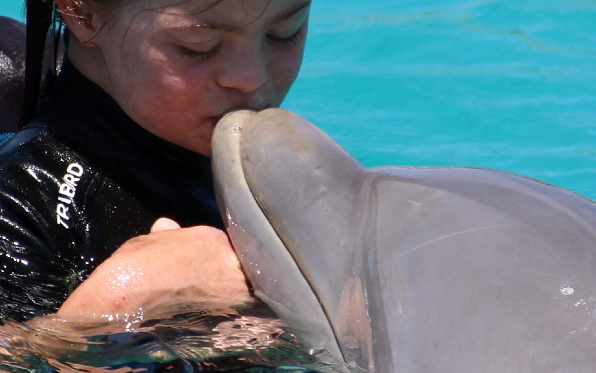 281221 Spendenaktion fuer Jamila Marias Delphintherapie 2 281221 Spendenaktion fuer Jamila Marias Delphintherapie 2