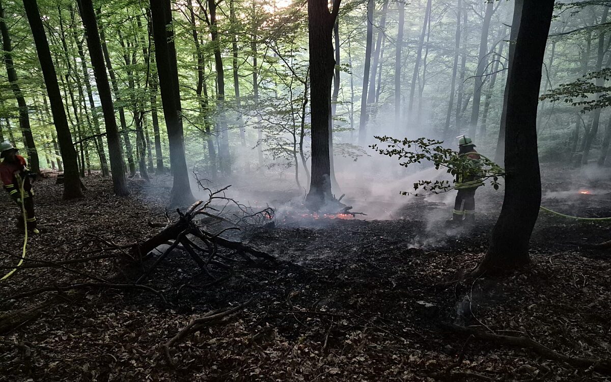 290426 Moembris Alzenau Waldbrand