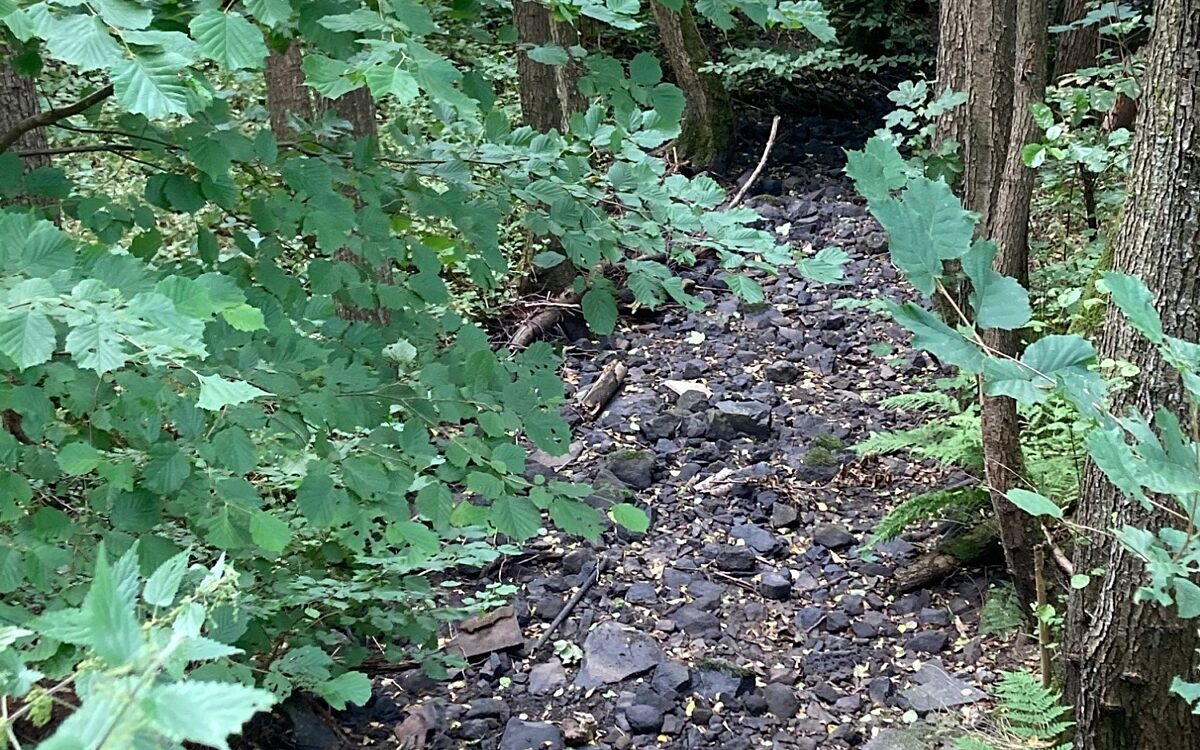 290722 Schluechtern Bachbett Schwarzbach 290722 Schluechtern Bachbett Schwarzbach