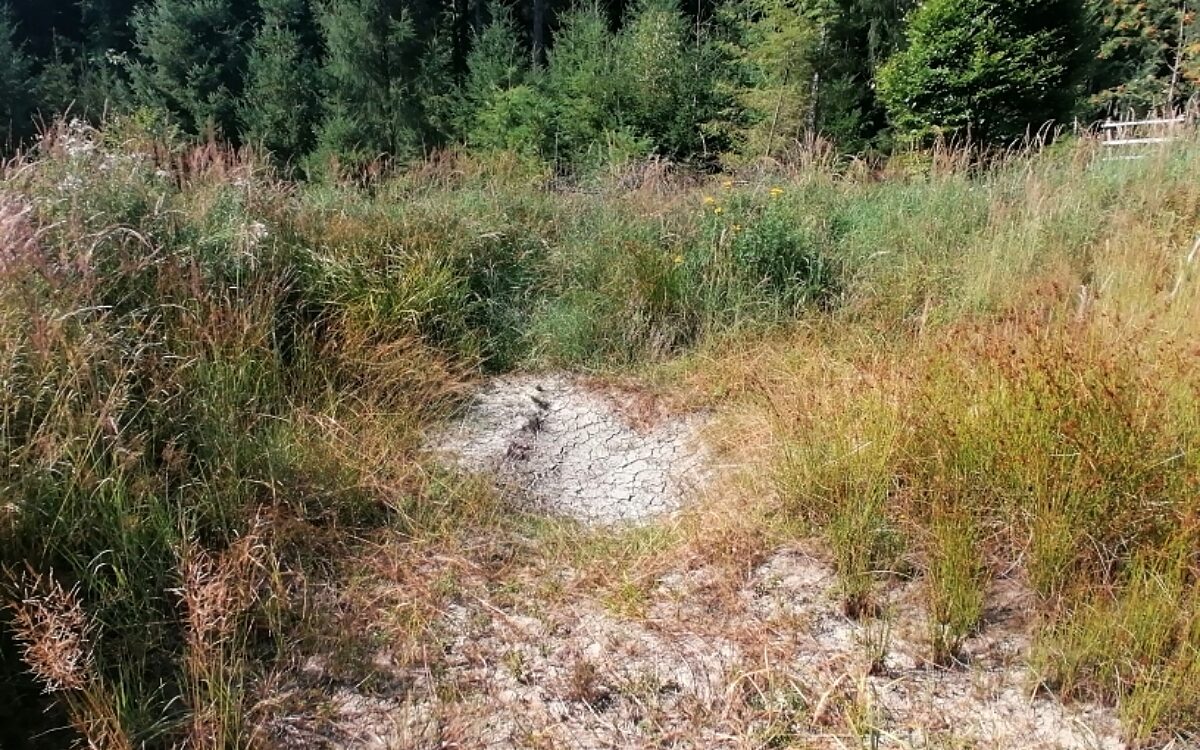 290722 Sinntal Weinstrasse 290722 Sinntal Weinstrasse