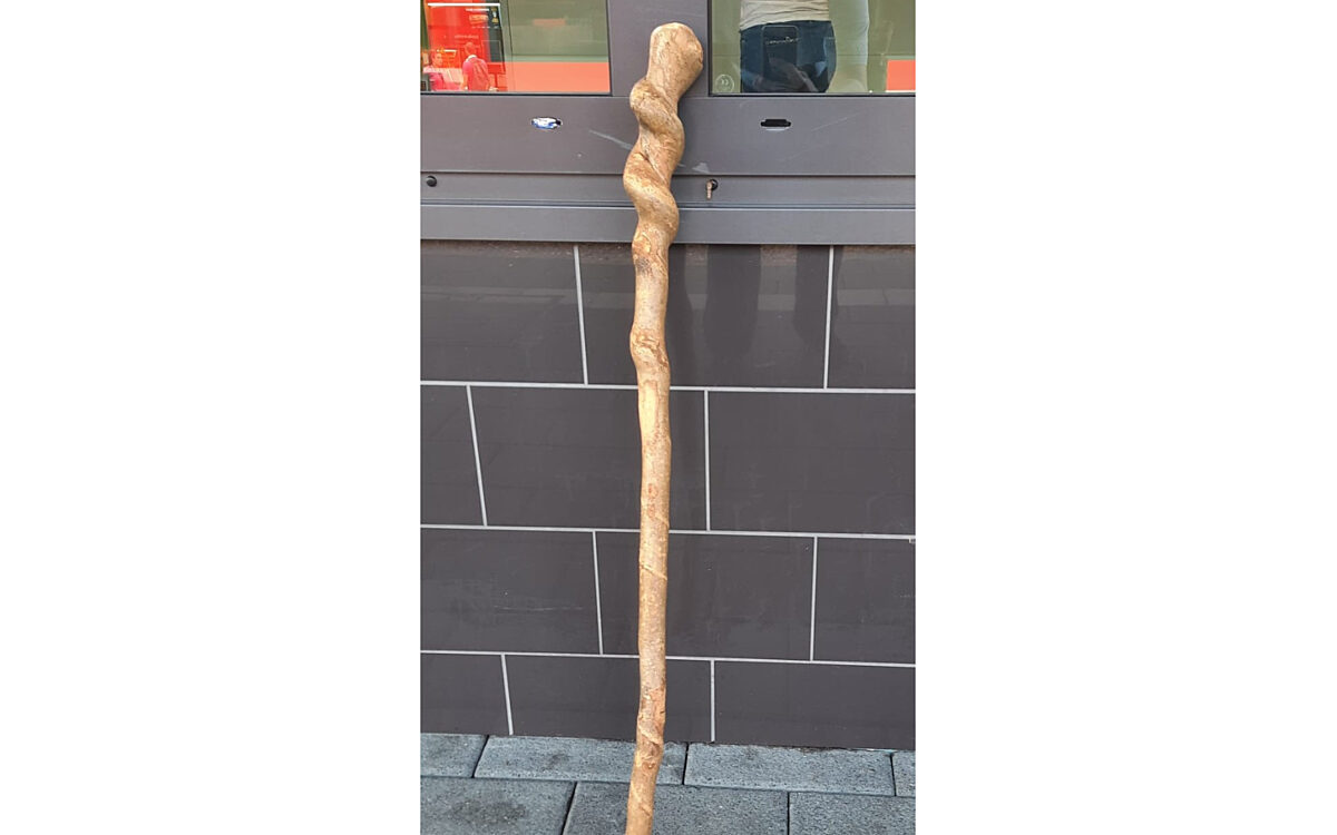 290822 Spazierstock Angriff 290822 Spazierstock Angriff