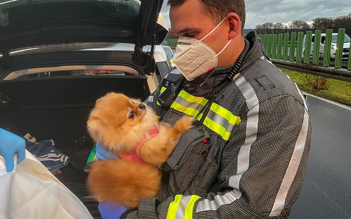 291221 Unfall Langenselbold 2 291221 Unfall Langenselbold 2