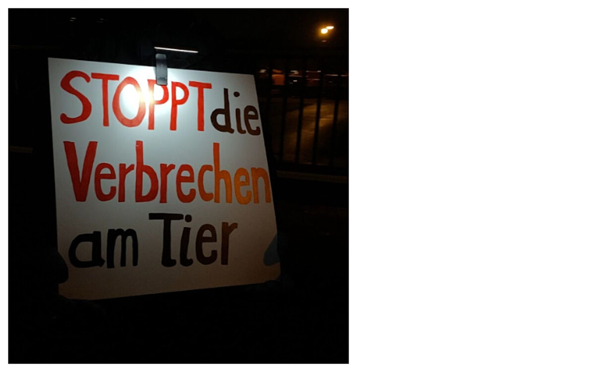 291224 AB Letzte Mahnwache des Jahres 291224 AB Letzte Mahnwache des Jahres