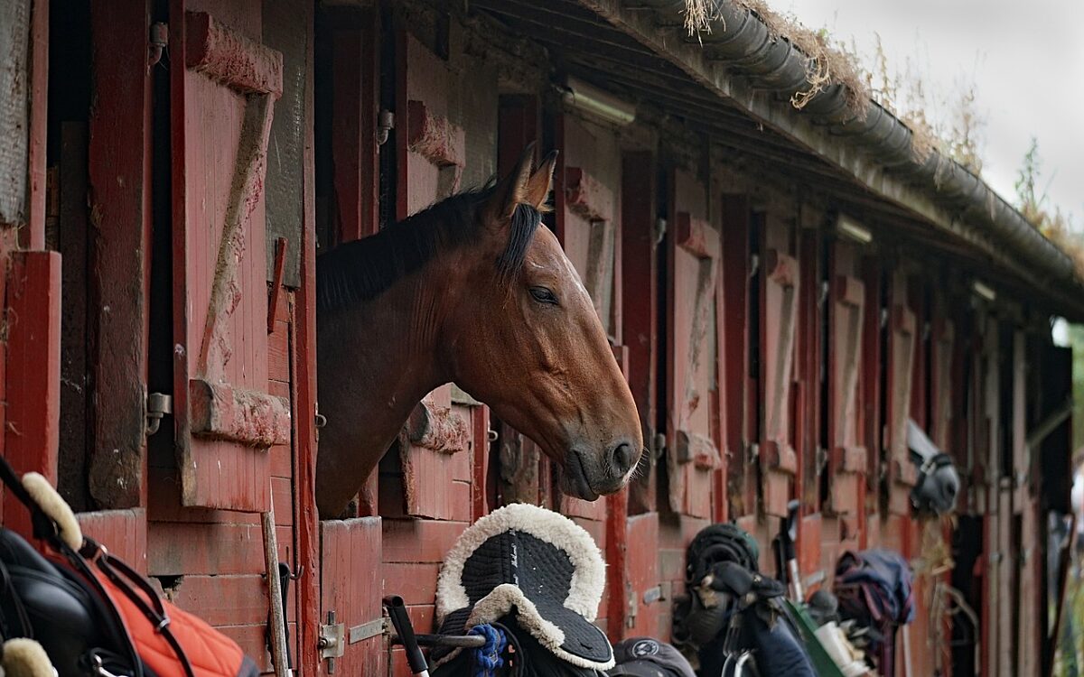 300125 pferdestall 300125 pferdestall