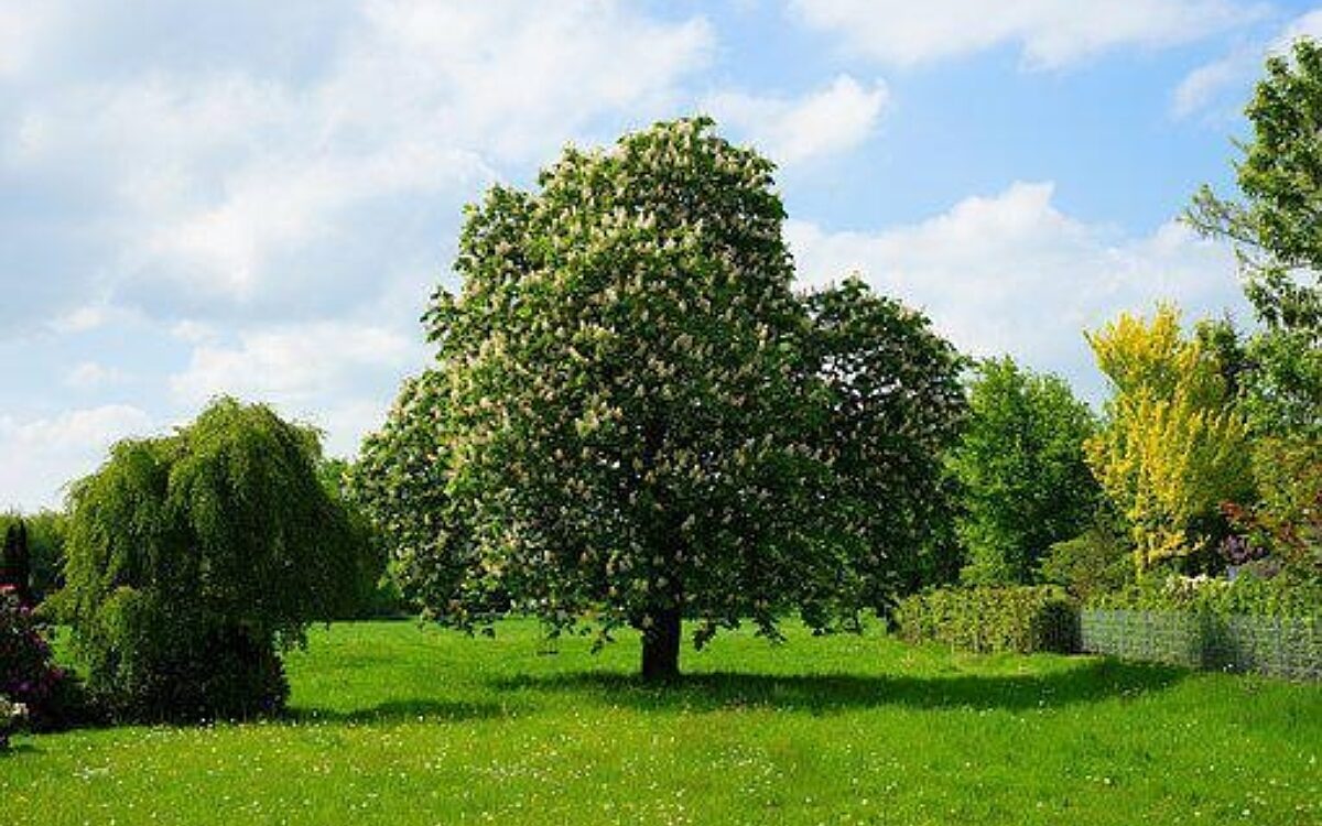 300622 Grundstueck 300622 Grundstueck