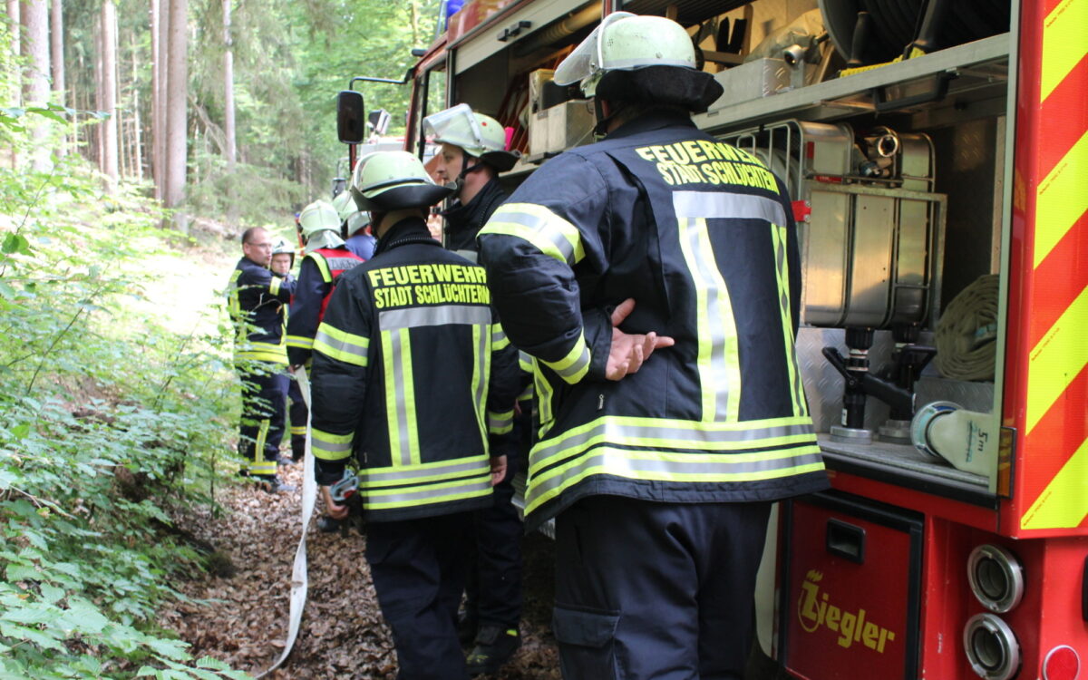 337 Waldbranduebung d 337 Waldbranduebung d