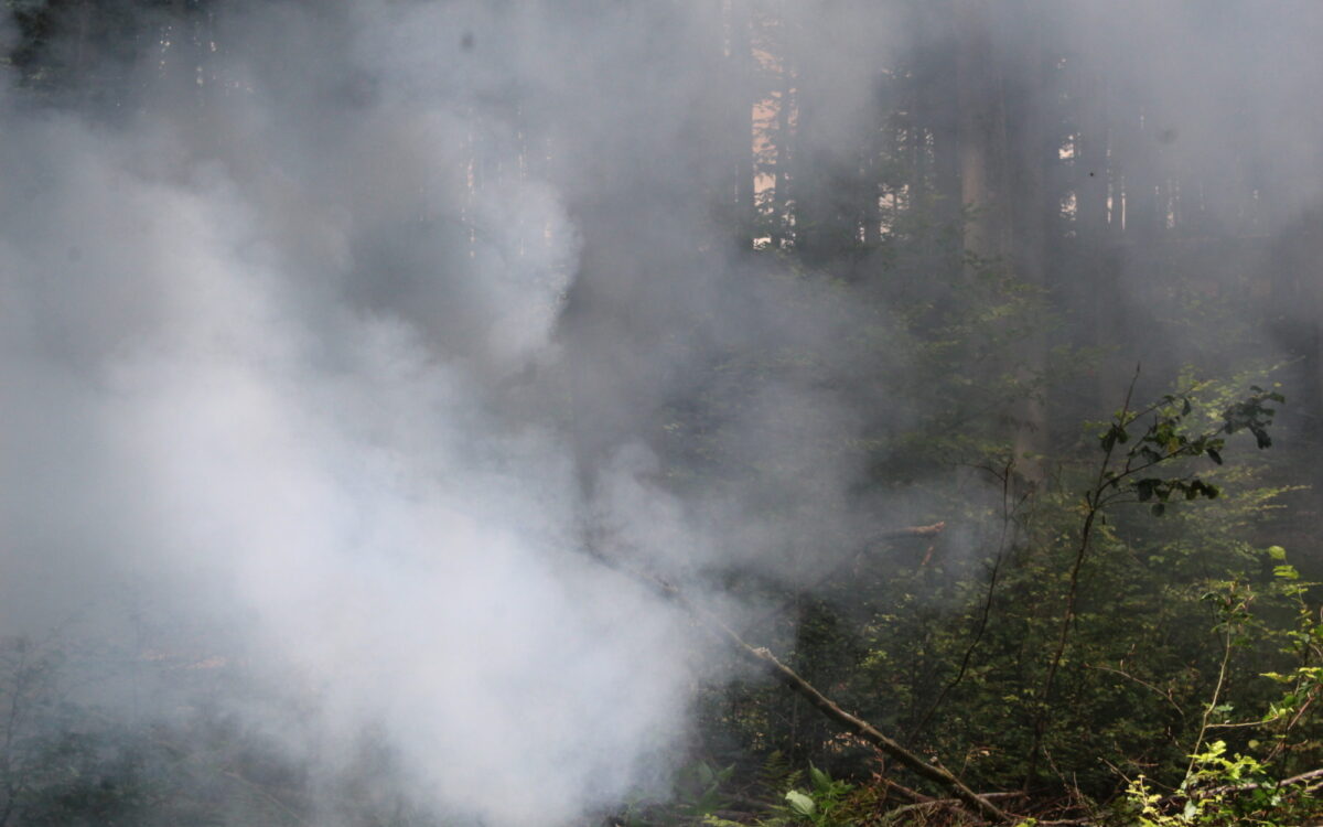 337 Waldbranduebung f 337 Waldbranduebung f