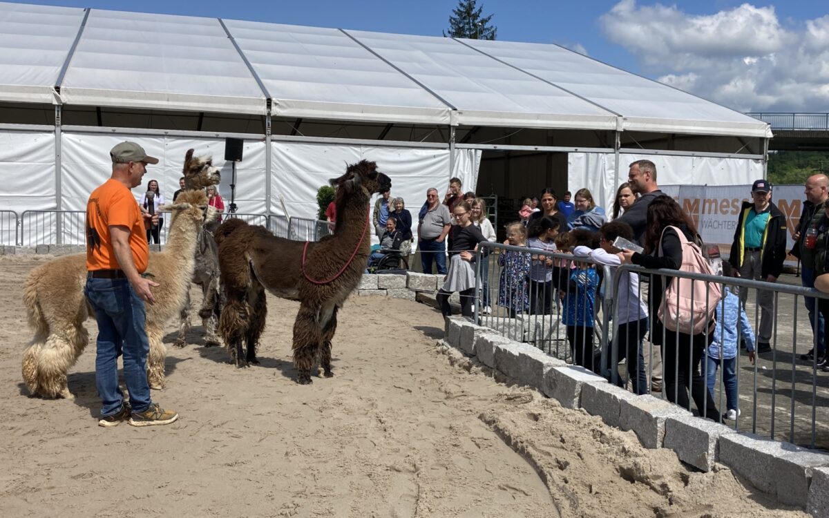 5 C35 A53 A 0 CE2 4 F3 A 832 D 773 EB33 C1 B21 5 C35 A53 A 0 CE2 4 F3 A 832 D 773 EB33 C1 B21