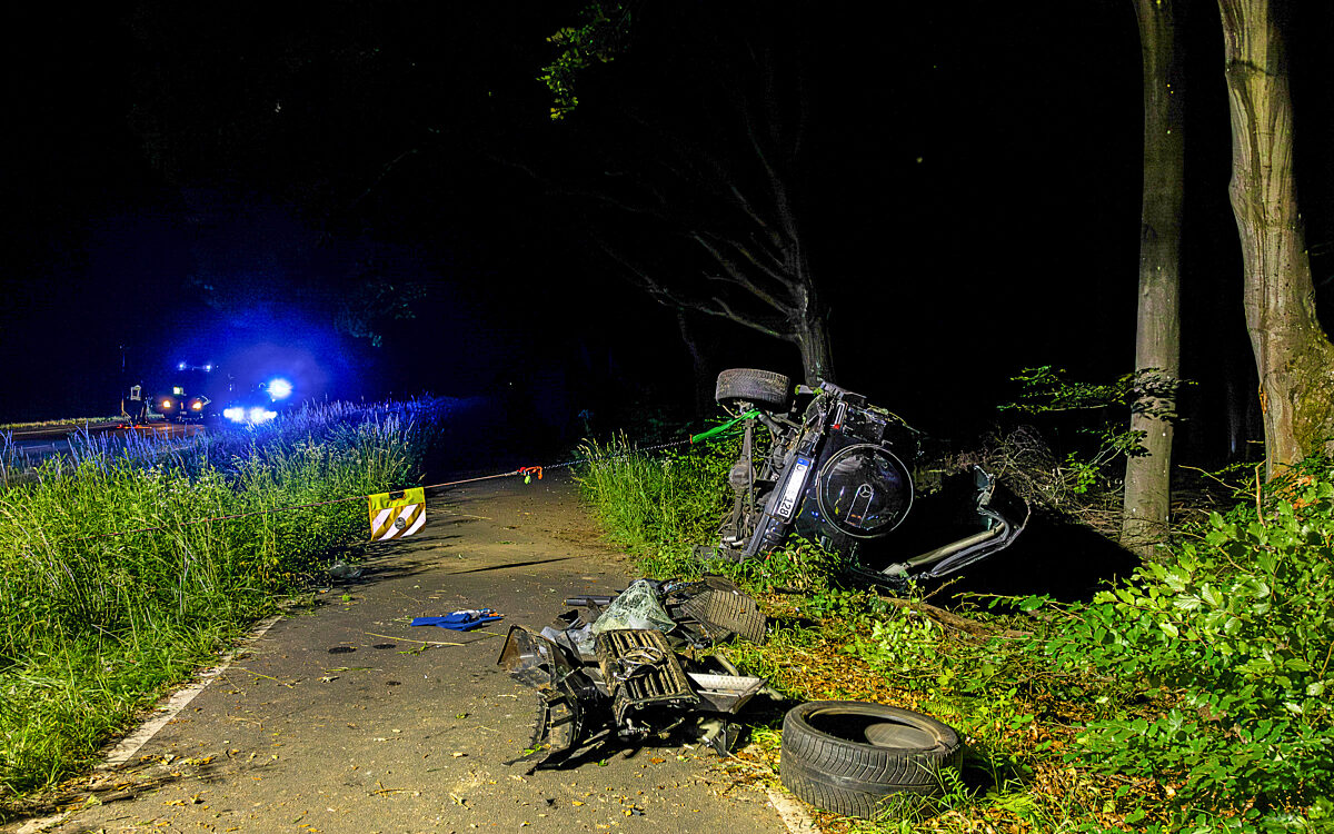 5 VN 2025 0335 022 5 VN 2025 0335 022