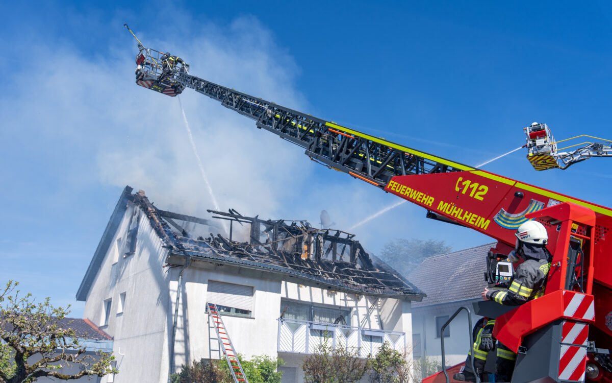 5 VN 2026 0242 003 5 VN 2026 0242 003