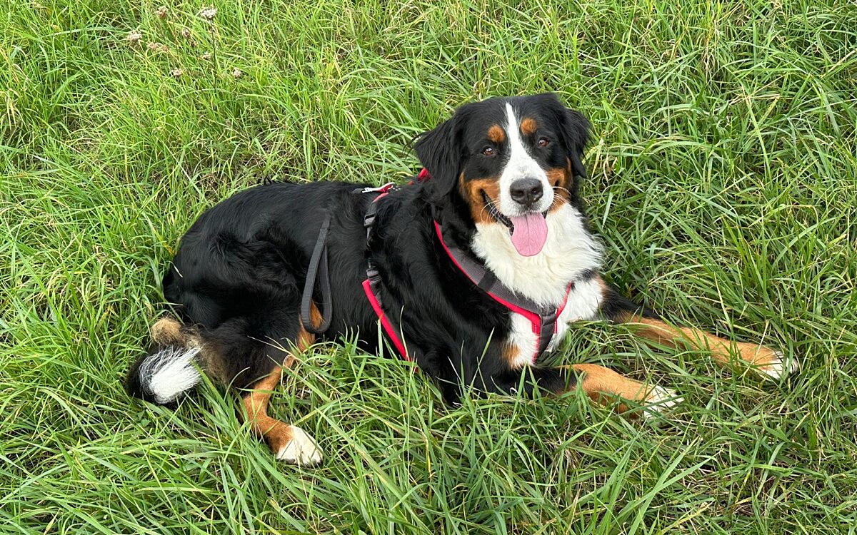 9277a195 a630 48ab 82b7 a1658296ebbf