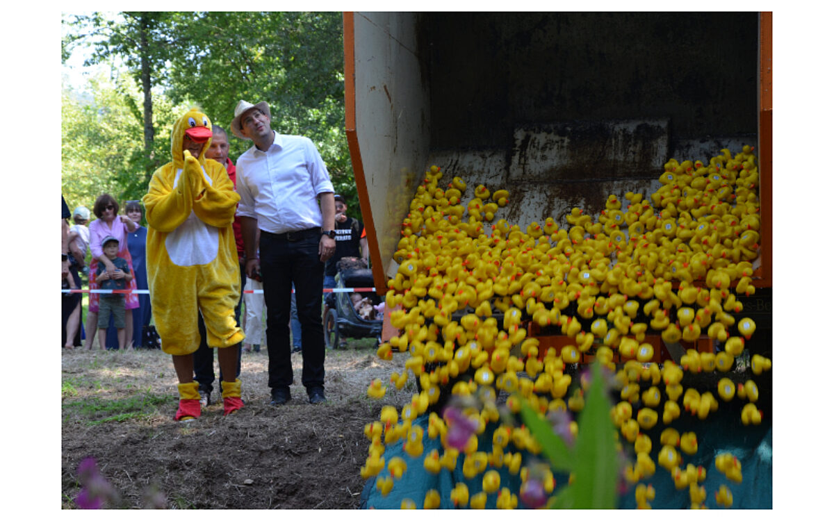 ALZ Sonntag Titelbild ALZ Sonntag Titelbild