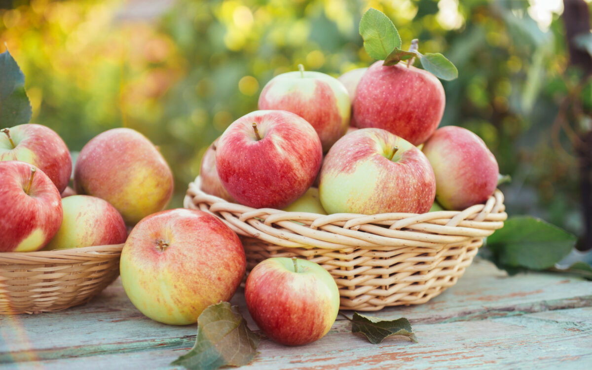 Aepfel Korb Aepfel Korb