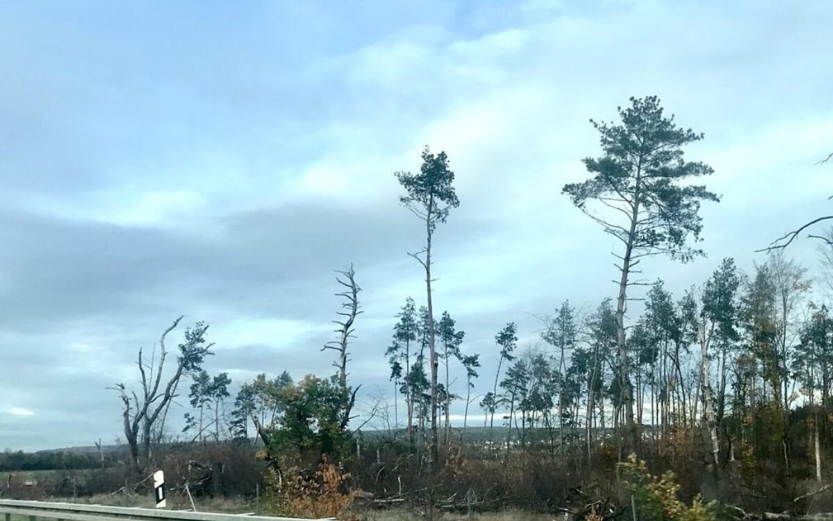 Alzenau Sturmschaeden 2019 Alzenau Sturmschaeden 2019