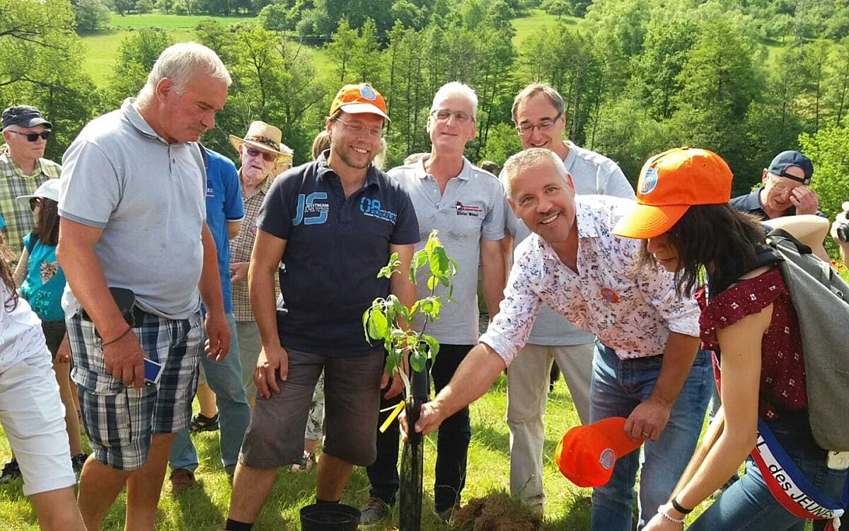 BGM Boulanger pfanzt Cidreapfel in OWR Streuobstallee 1 6 2019 BGM Boulanger pfanzt Cidreapfel in OWR Streuobstallee 1 6 2019