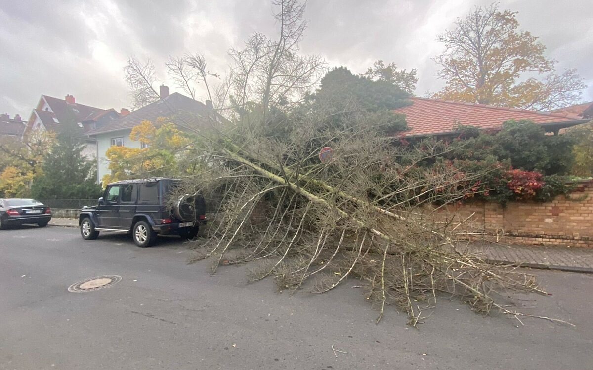 Hanau Unwetter Ignatz Hanau Unwetter Ignatz