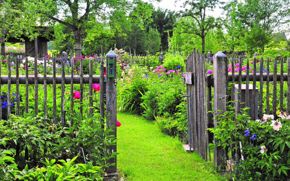 Bild T d o G 2022 Christine Bender Bild T d o G 2022 Christine Bender