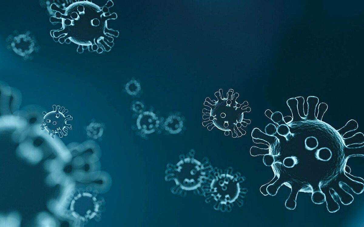 Corona Virus Corona Virus