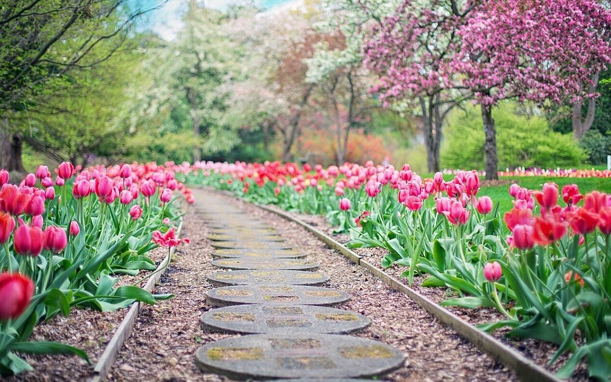 Garten Symbolbild Garten Symbolbild