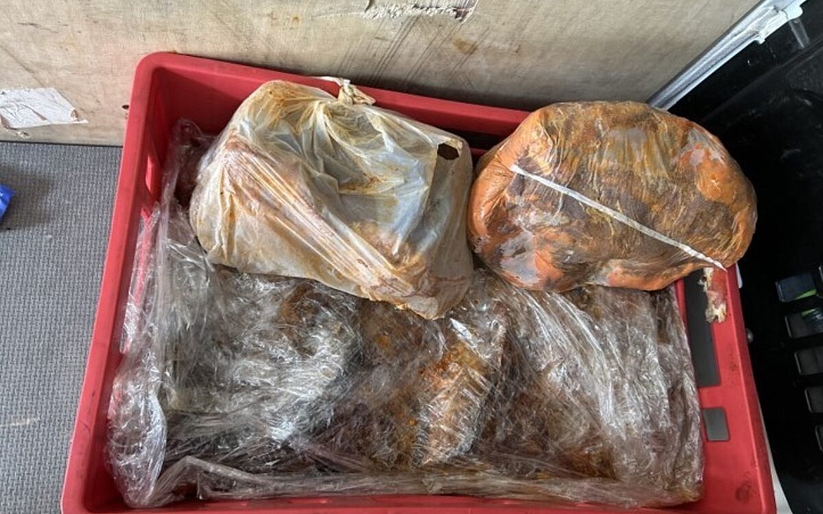 Grillfleisch Grillfleisch