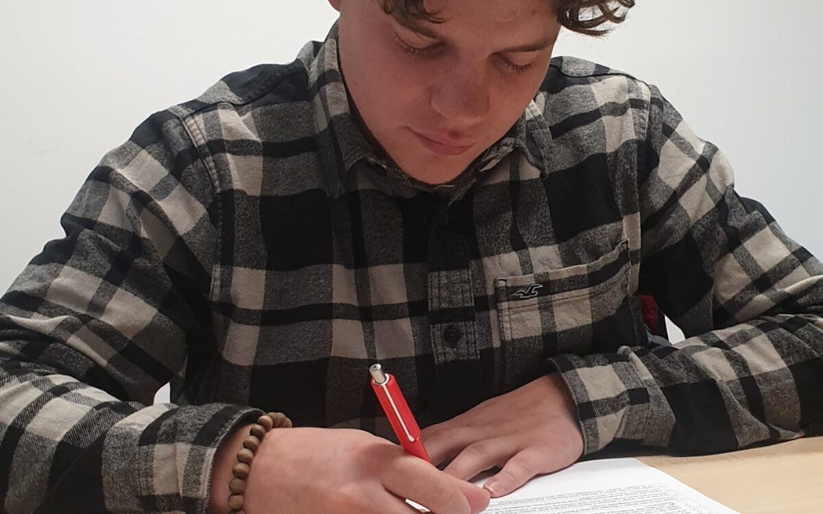 KW45 Stammzellen 3 KW45 Stammzellen 3