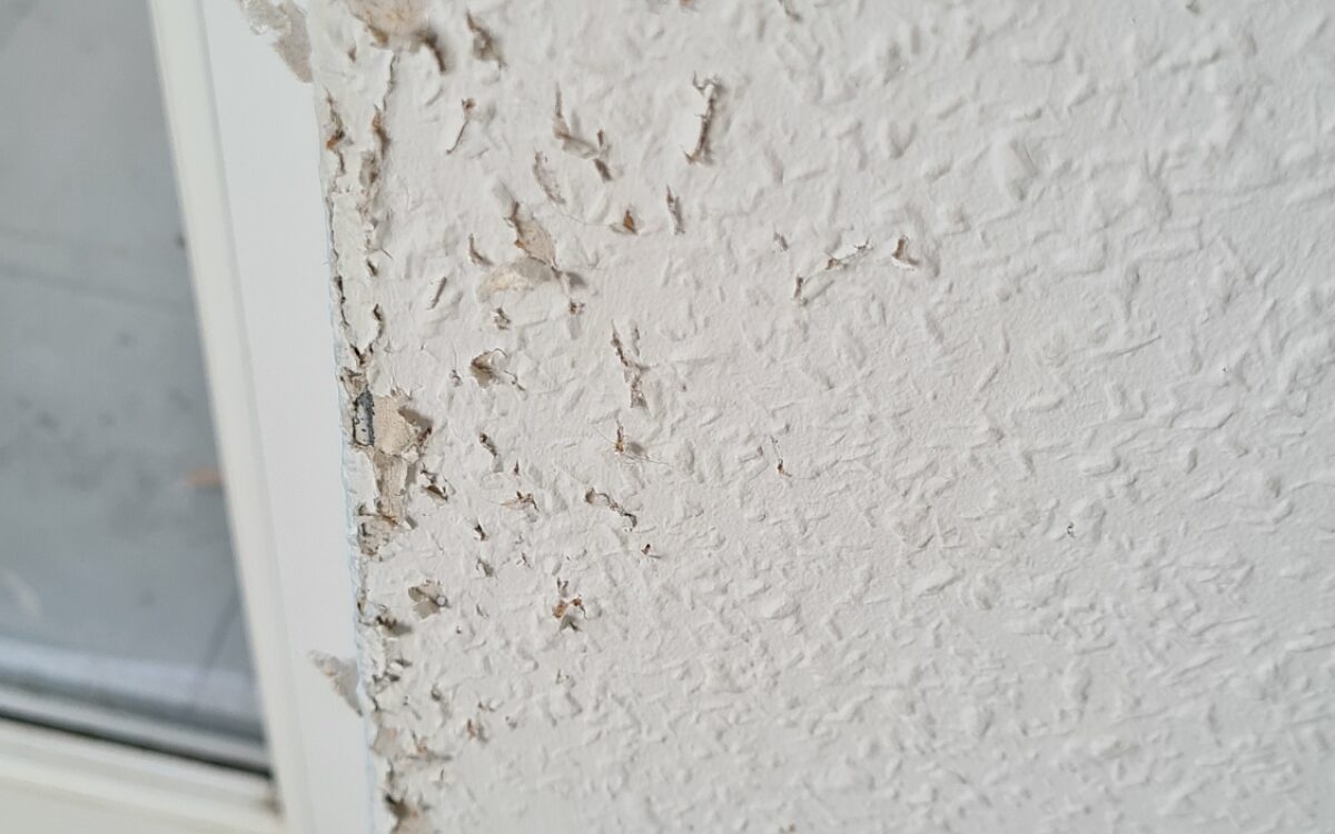 KW46 Vermieter 7 KW46 Vermieter 7