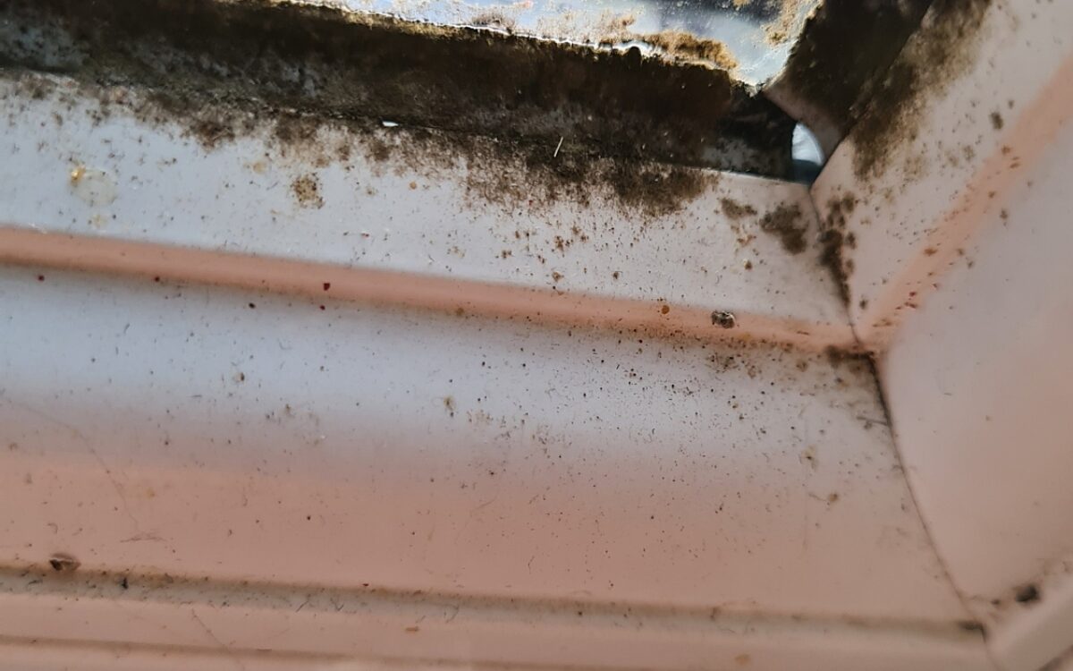 KW46 Vermieter4 KW46 Vermieter4