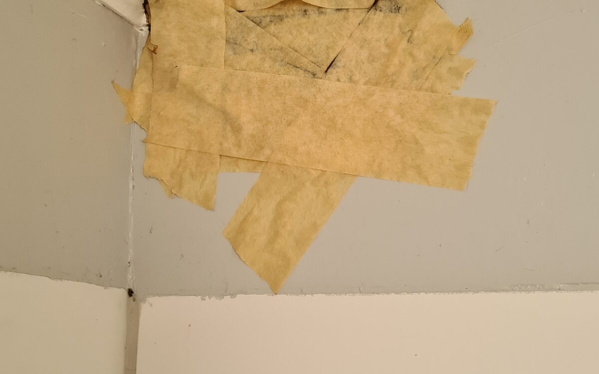 KW46 Vermieter5 KW46 Vermieter5