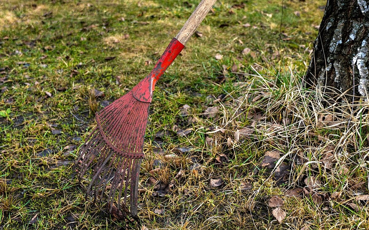 Laubrechen Laubrechen