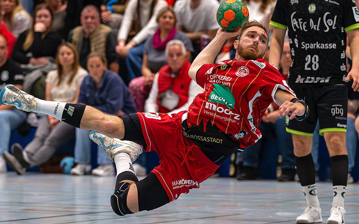 Leon David web Leon David web