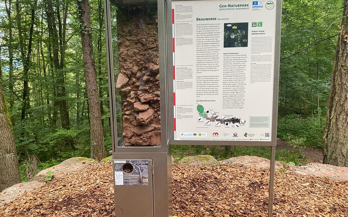 MIL Baumprofil-Stele MIL Baumprofil-Stele