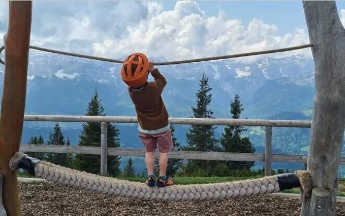 Nico aus Obernburg FS Nico aus Obernburg FS