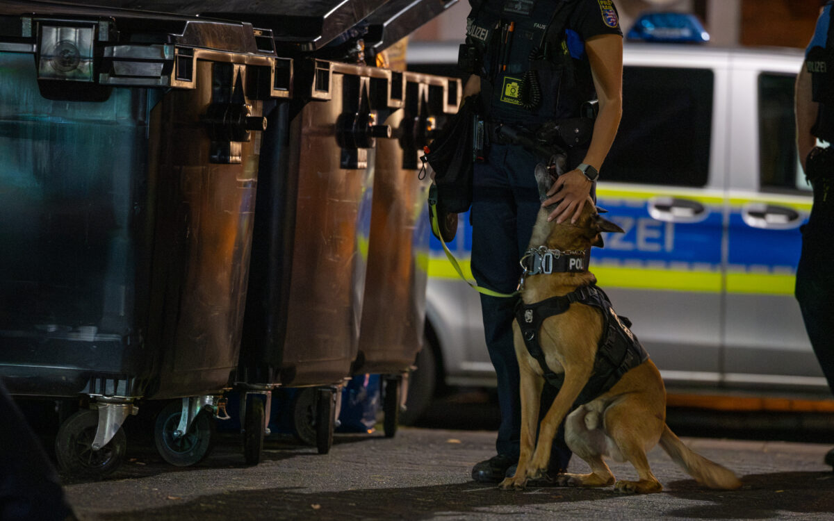 Polizeihund spuerhund nacht Polizeihund spuerhund nacht