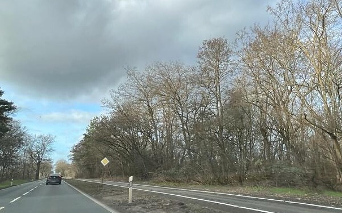 Radweg Mainhausen Mainflingen Radweg Mainhausen Mainflingen