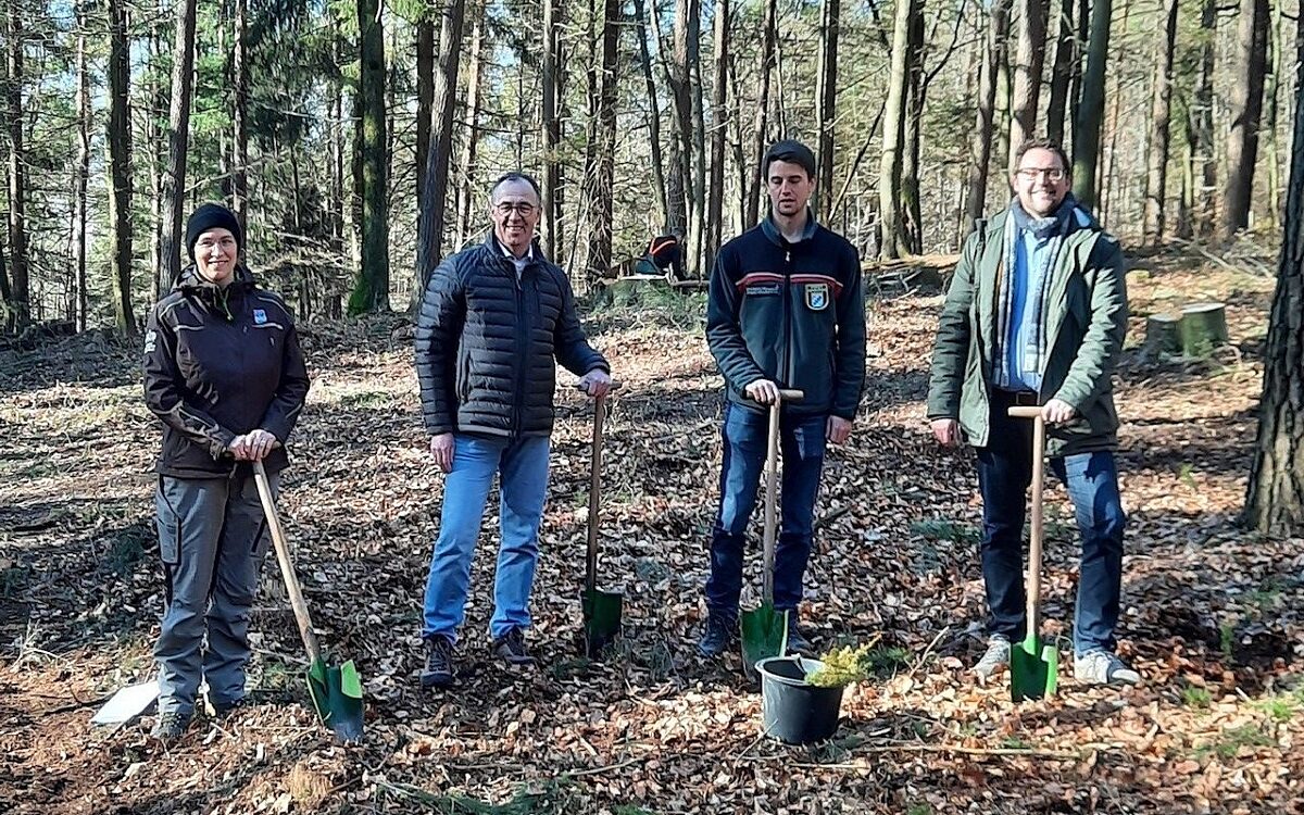 SPN Foto Baumpflanzung AB SPN Foto Baumpflanzung AB