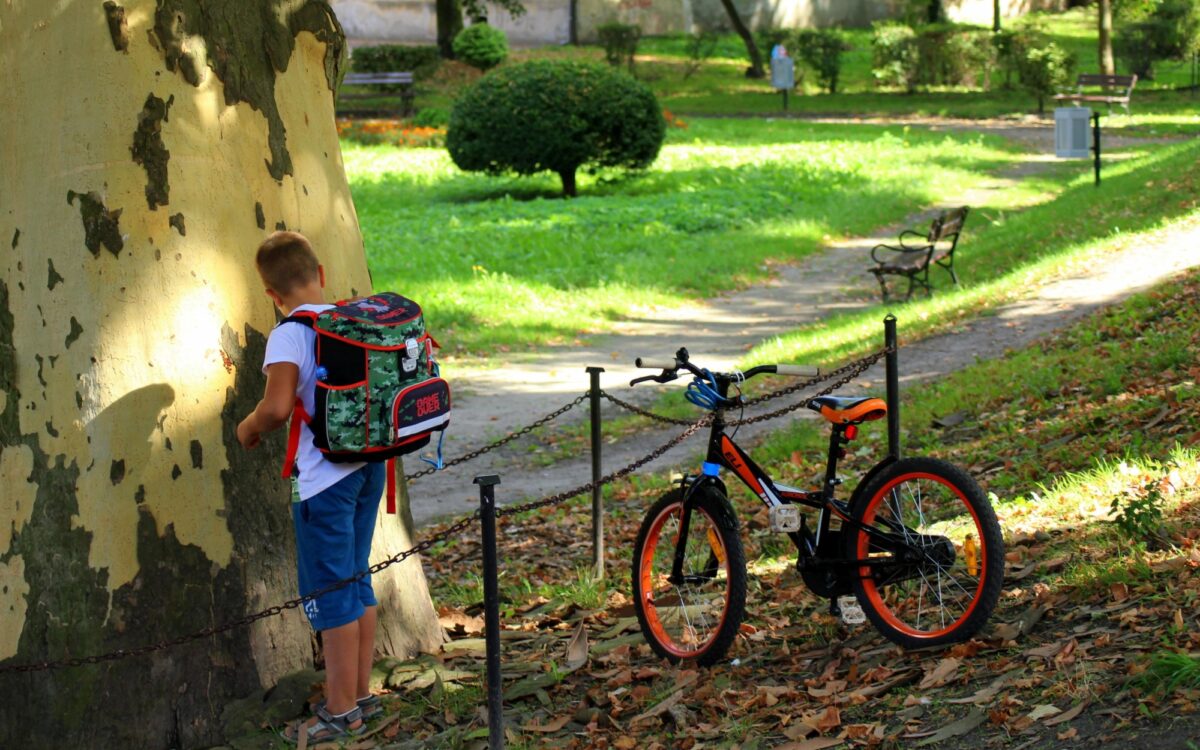 Schulweg Fuss Schulweg Fuss