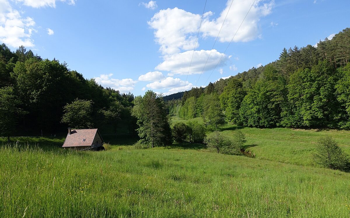 Spessart Natur Spessart Natur