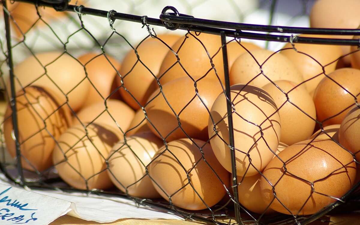 Symbolbild Eier Symbolbild Eier