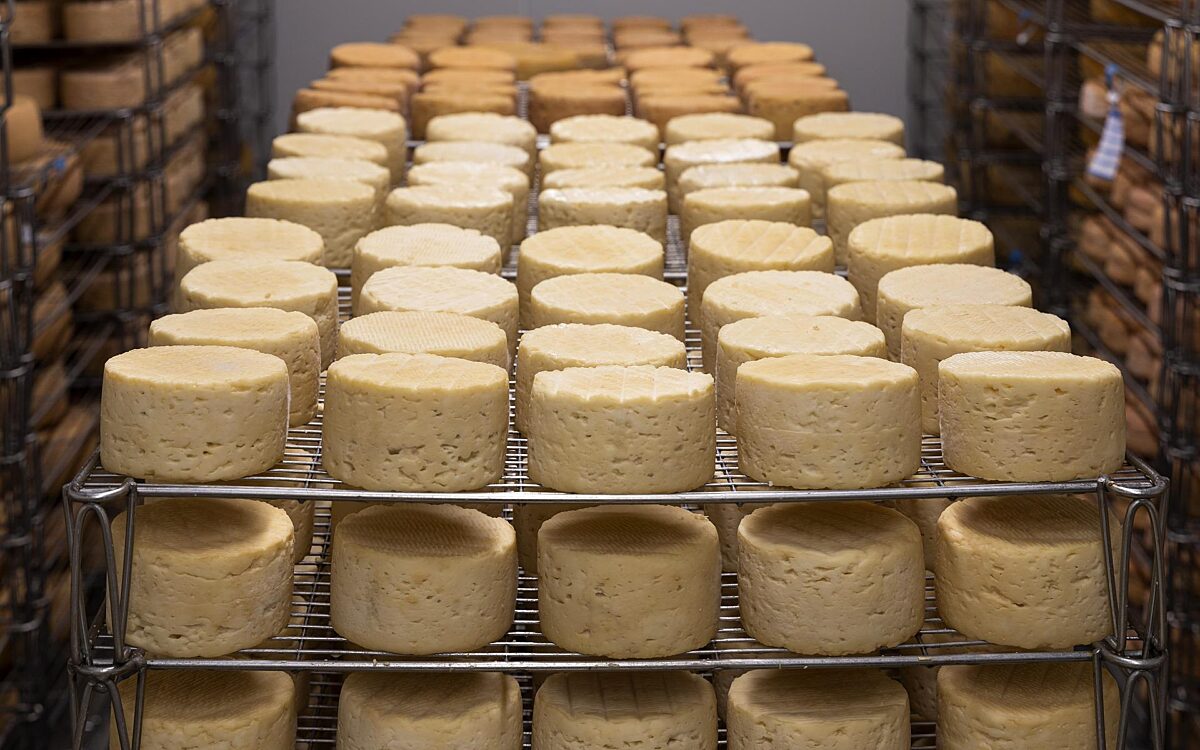 Symbolbild Kaese Symbolbild Kaese