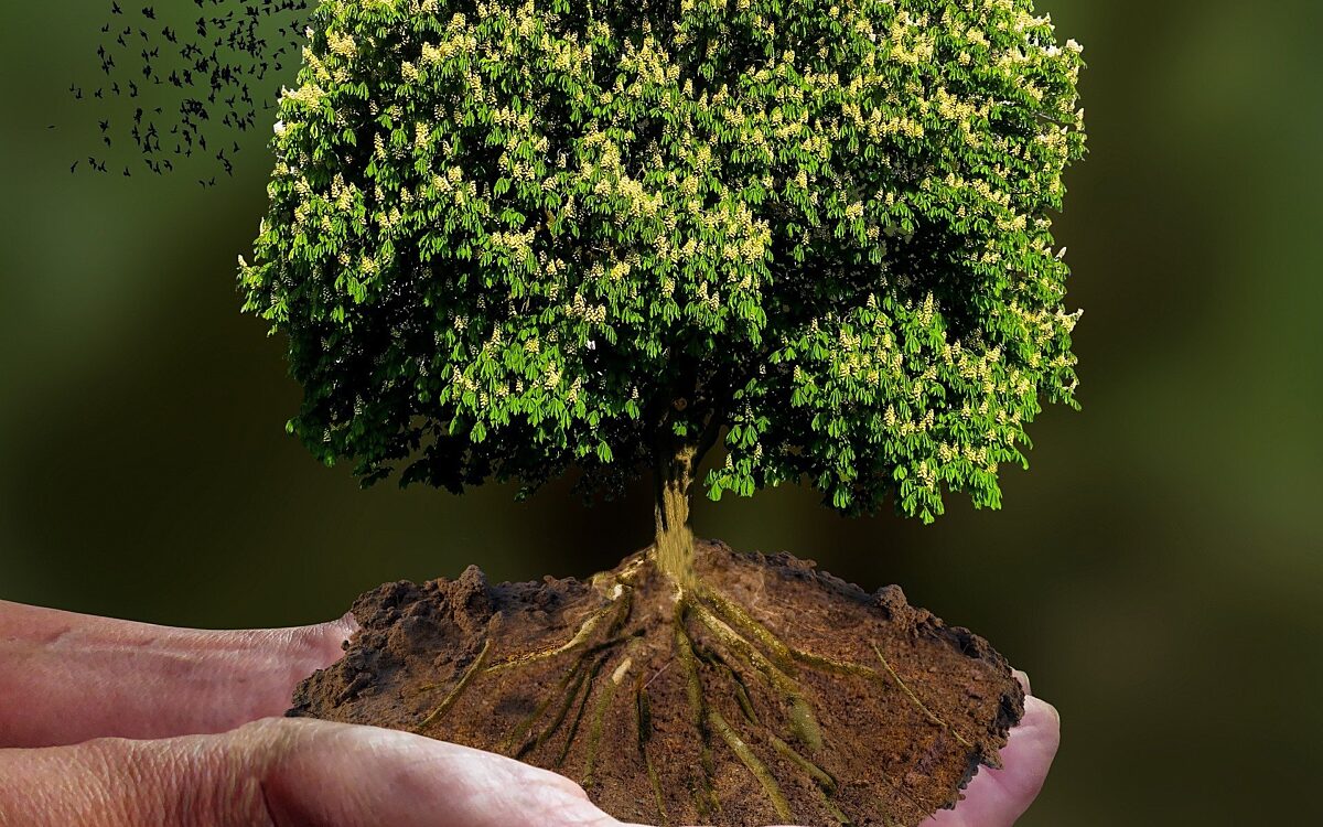 Symbolbild Klimaretter Symbolbild Klimaretter