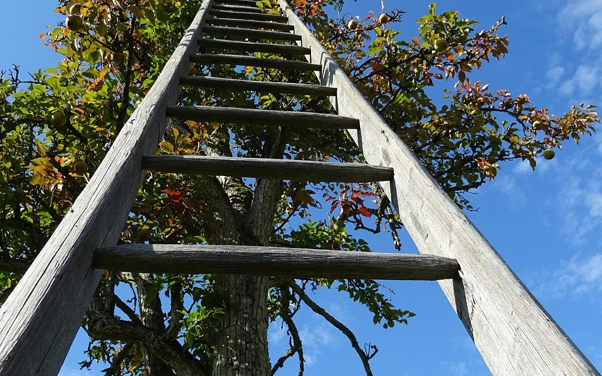 Symbolbild Leiter Symbolbild Leiter