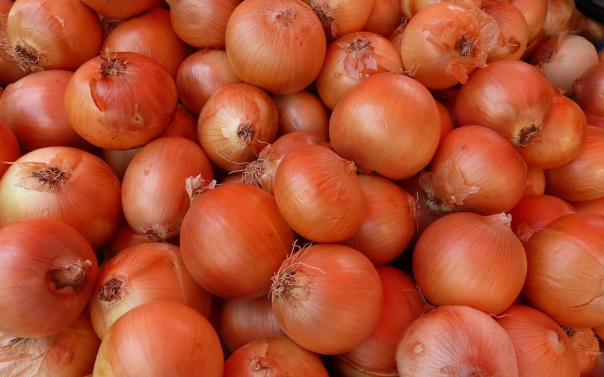 Symbolbild Zwiebeln Symbolbild Zwiebeln