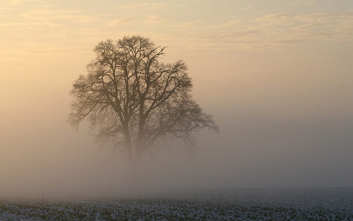 Symbolbild kalt Winter Symbolbild kalt Winter