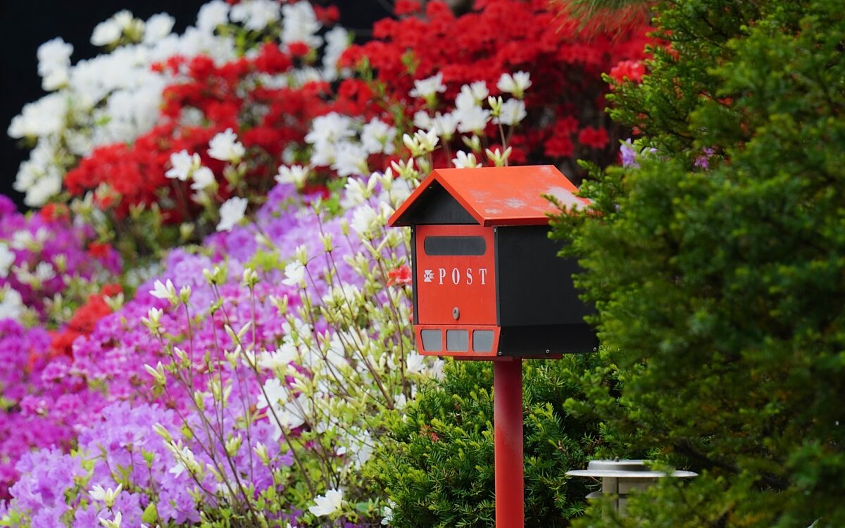 Vorgarten Garten Blumen Vorgarten Garten Blumen