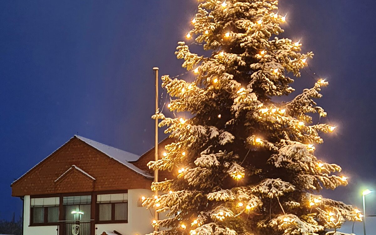 Weihnachtsbaum fuer Gruendau