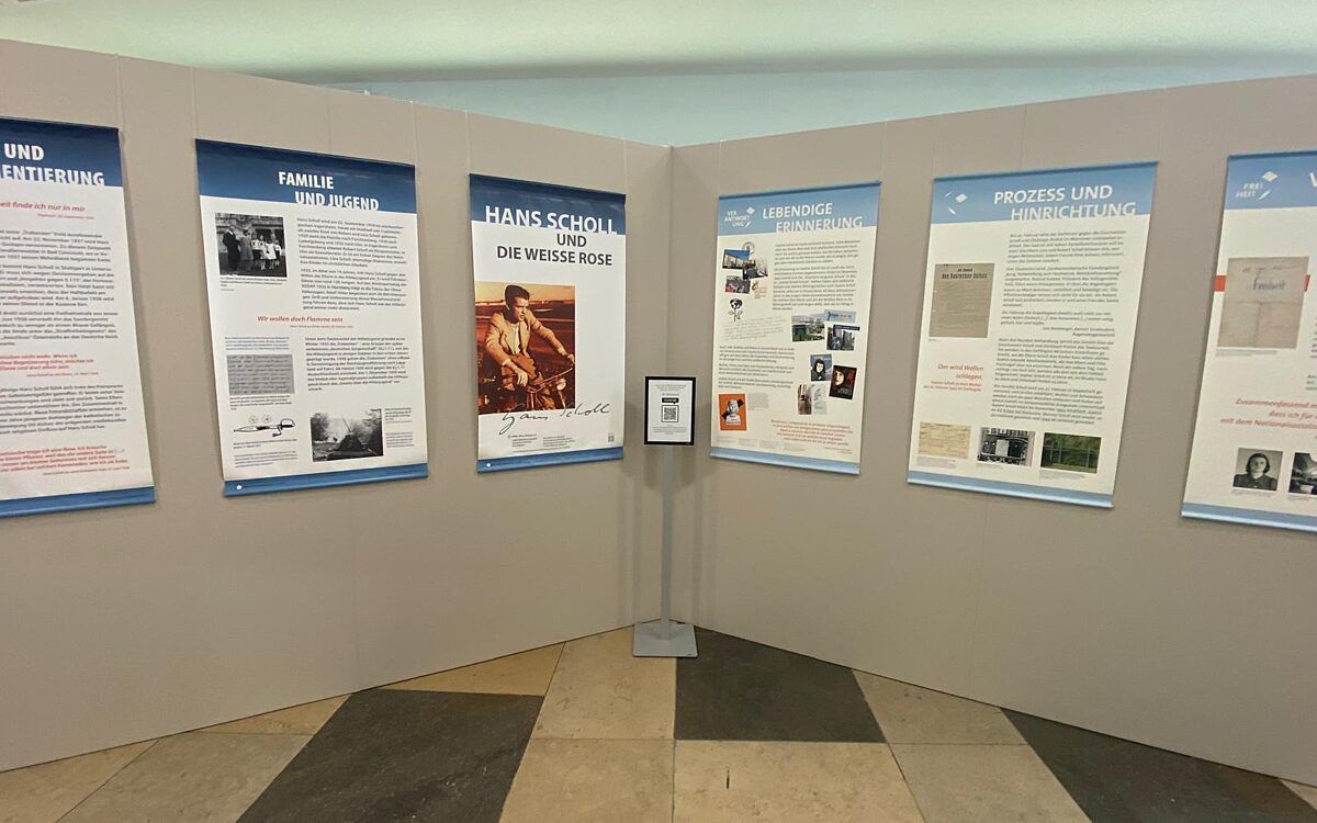 Weisse Rose Weisse Rose