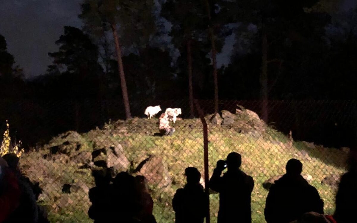 Wolfsheulen2 Wolfsheulen2