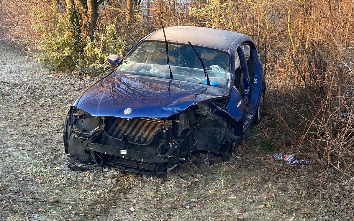 Whats App Image 2022 12 13 at 09 09 19 Whats App Image 2022 12 13 at 09 09 19