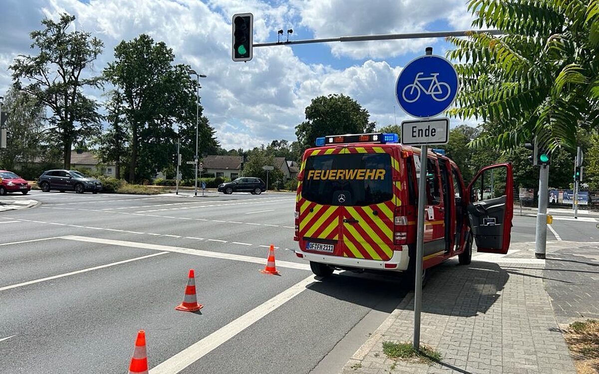 030723 Bimbes Heustenstamm 030723 Bimbes Heustenstamm